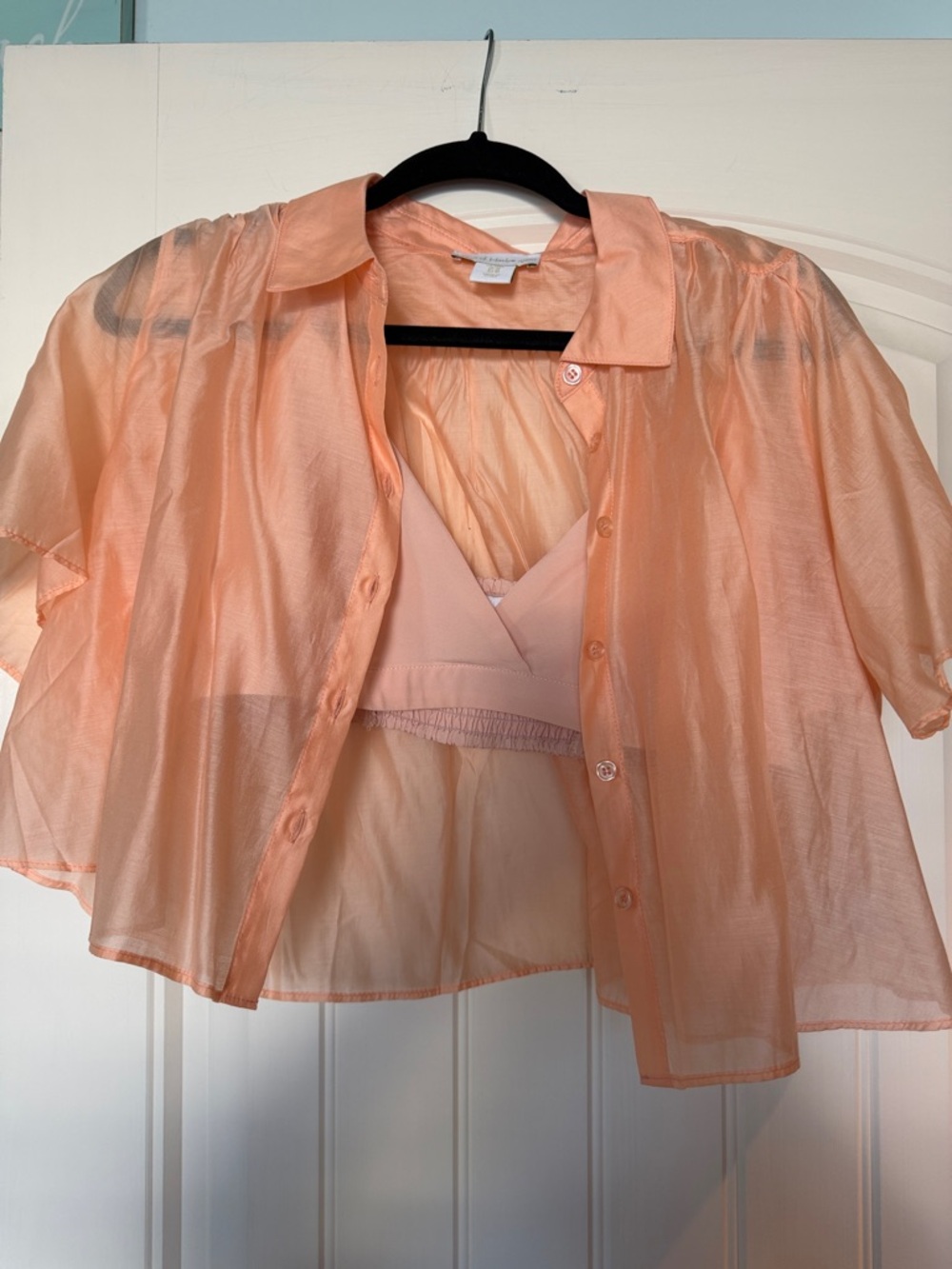 House of Harlow Sheer Peach Button-Up Shirt with Matching Bralette
